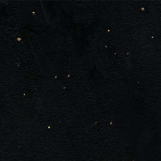 Golden Black