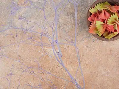 سنگ کوارتز رگه دار
