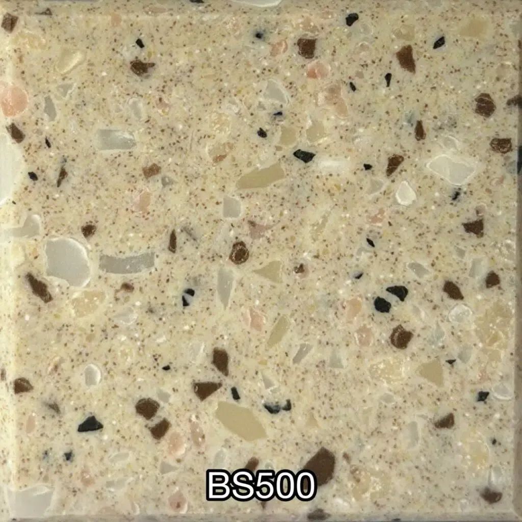 BS500